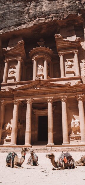 Camels rest in front of the Petra Jordan ancient stone building carved in the desert, 2K Mobile Wallpaper