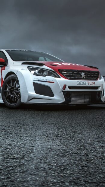 A white and red Peugeot 308 sports car is parked on a wet asphalt under a cloudy sky, 2K Phone Wallpaper