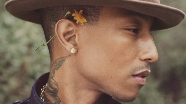 A detailed close up of Pharrell Williams wearing a hat with a flower behind his ear, HD Desktop Wallpaper