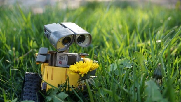 Wall E robot holding a yellow flower in green grass for Pixar Wallpapers, 4K Desktop Wallpaper