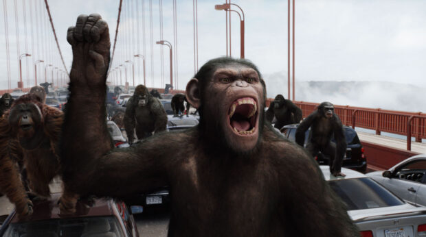 A group of apes is advancing on a congested bridge with one ape roaring loudly, HD Desktop Wallpaper