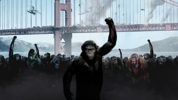 A group of apes raises their fists in protest under the bridge in a Planet of the Apes scene, 4K Desktop Wallpaper