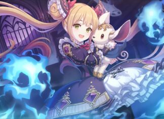 A magical girl from Princess Connect Re Dive holds a small pet surrounded by glowing spirits, HD Desktop Wallpaper