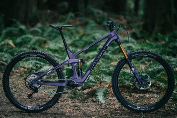 A purple transition bike is parked in a forest with green ferns and foliage in the background, 2K Desktop Wallpaper