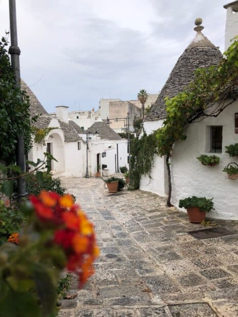 A charming street view of Alberobello with unique trulli houses and greenery, HD Mobile Wallpaper