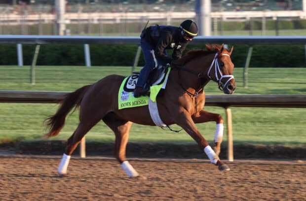 A jockey prepares the racehorse Known Agenda on the track at Kentucky Derby, HD Desktop Wallpaper