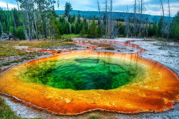 A vibrant rainbow hot spring surrounded by forest in Yellowstone National Park, 2K Desktop Wallpaper