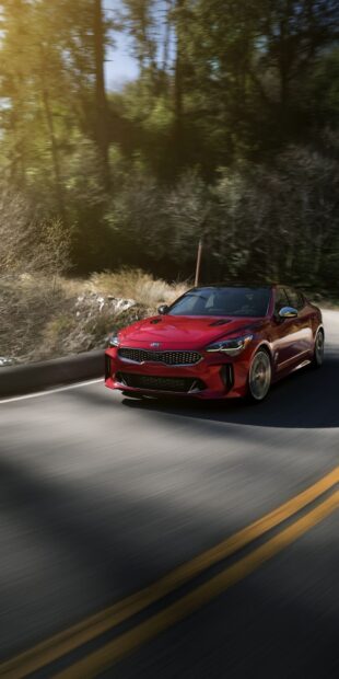 A red Kia is driving fast on a winding road surrounded by trees, HD Phone Wallpaper
