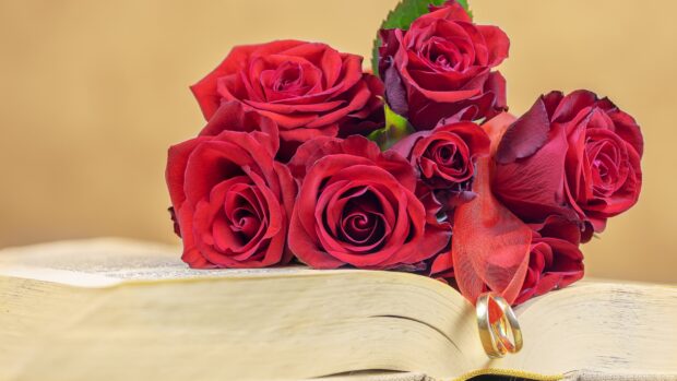 A bouquet of red roses rests on an open book with two wedding rings tied by a red ribbon, 4K Desktop Wallpaper
