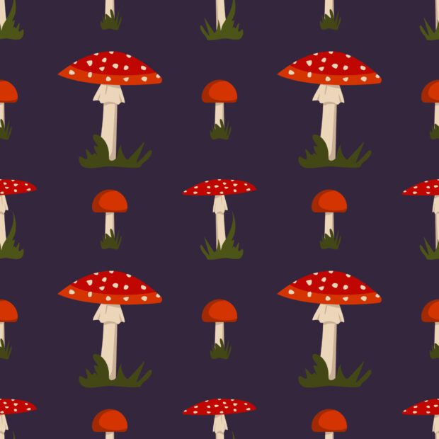 A seamless pattern of red and white spotted Amanita mushrooms on a dark background, HD Desktop Wallpaper