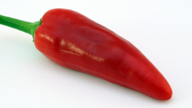 A red jalapeno pepper lies on a white surface showing its smooth texture, HD Desktop Wallpaper