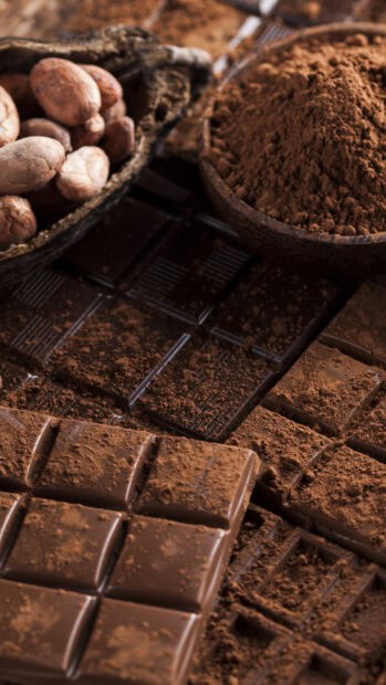 A close up of cocoa bars surrounded by cocoa beans and powder in a rustic setting, HD Phone Wallpaper