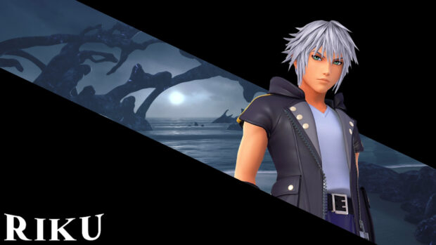 Riku character from Kingdom Hearts stands near a dark beach landscape under the moonlight, HD Desktop Wallpaper