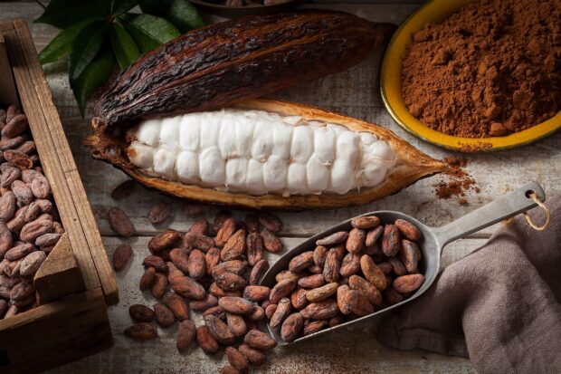 A fresh cocoa pod lies next to roasted cocoa beans and cocoa powder on a wooden surface featuring Cocao Wallpapers, HD Desktop Wallpaper