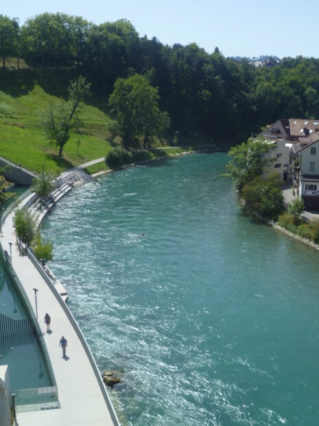 The River Aare in Switzerland flows calmly past green trees and nearby houses, HD Phone Wallpaper