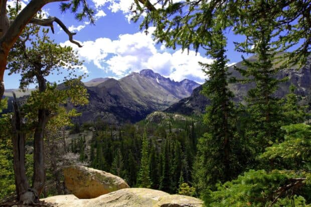 Rocky Mountain National Park shows lush forest and rugged peaks under a blue sky, 2K Desktop Wallpaper