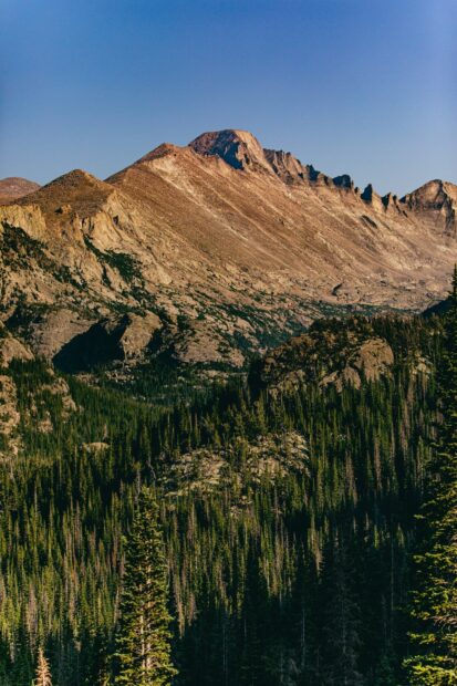A scenic view of rocky mountains and green forest in Rocky Mountain National Park, HD Mobile Wallpaper