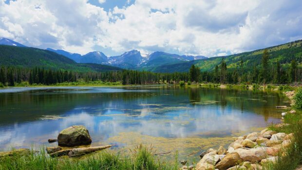 A scenic lake reflects the forest and mountains in Rocky Mountain National Park, 2K Desktop Wallpaper