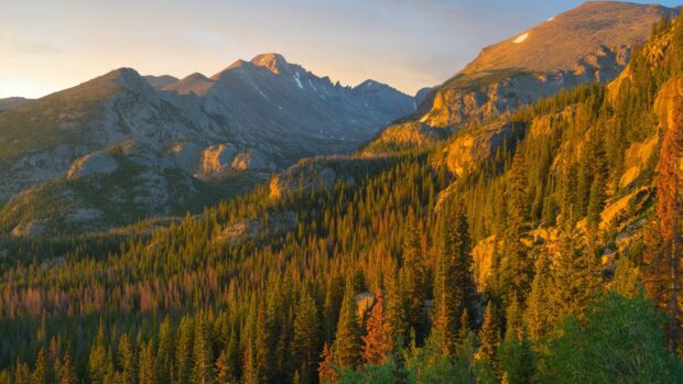 The mountains in Rocky Mountain National Park glow with golden sunlight over a dense forest, HD Desktop Wallpaper