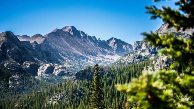 A clear day view of Rocky Mountain National Park with trees and rocky peaks in the background, 4K Desktop Wallpaper