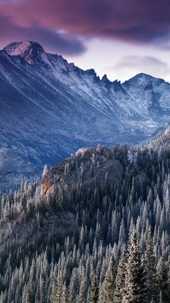 The snowy peaks and dense pine forest create a stunning Rocky Mountain National Park landscape, HD Phone Wallpaper