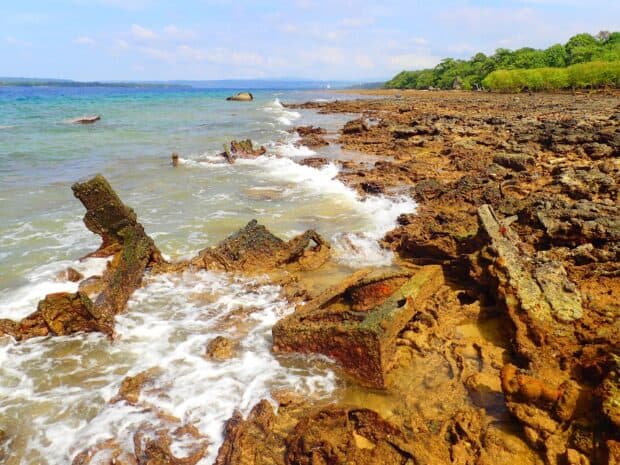 The rocky shore with clear water and green trees shows the natural beauty of Espiritu Santo Vanuatu, 2K Desktop Wallpaper