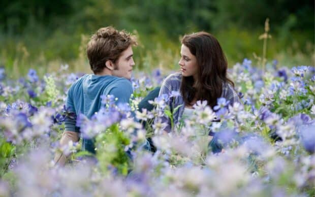 A couple shares a tender moment in a field of purple flowers from Twilight movie, 2K Desktop Wallpaper