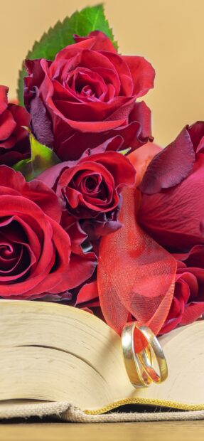 Two gold wedding rings with red roses on an open book, 2K Phone Wallpaper
