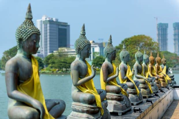 A row of Buddha statues draped in yellow robes beside a lake in Colombo Sri Lanka, HD Desktop Wallpaper