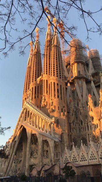 The Sagrada Familia shows detailed gothic and modernist architecture during sunset, HD Mobile Wallpaper