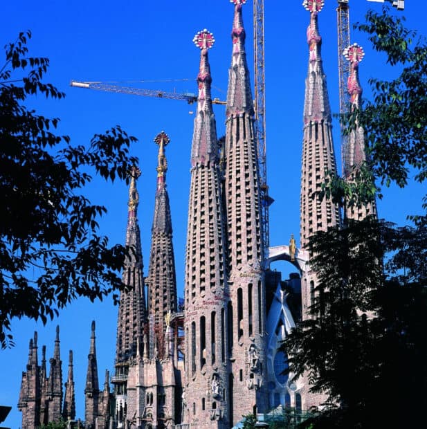 The Sagrada Familia towers stand tall with blue sky behind and surrounding trees, HD Desktop Wallpaper