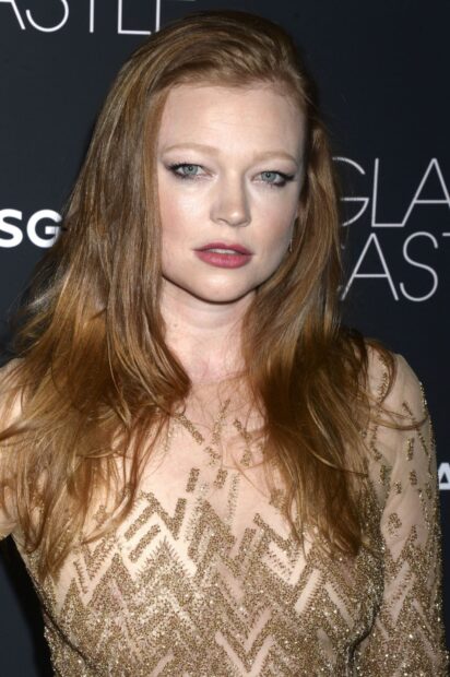 Sarah Snook is wearing a glittery dress with red hair and light makeup, HD Desktop Wallpaper