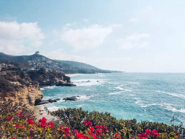 The Laguna Beach coastline features vibrant flowers and rocky cliffs by the ocean, HD Desktop Wallpaper