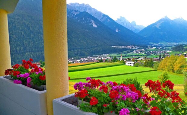 A vibrant village landscape with red and pink flowers in the foreground and mountains in the background, HD Desktop Wallpaper
