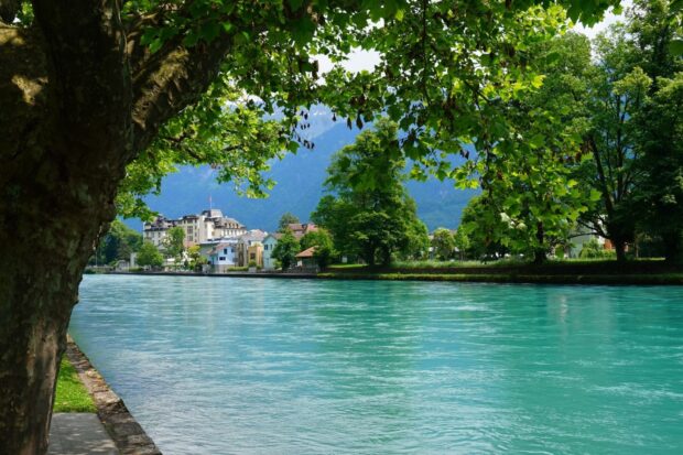 The River Aare flows peacefully along green trees and charming houses in Switzerland, HD Desktop Wallpaper