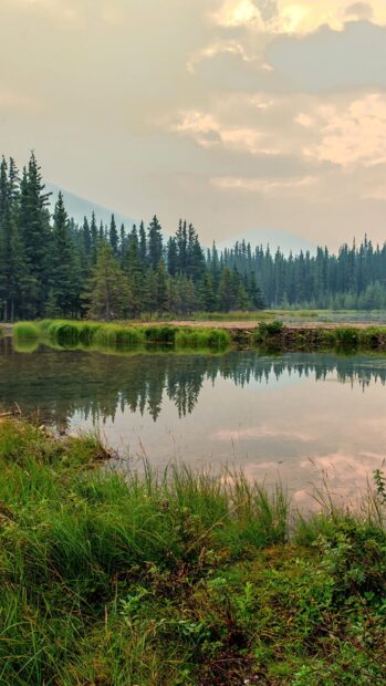 A calm lake reflects evergreen trees and distant mountains in Denali National Park and Preserve, HD Mobile Wallpaper