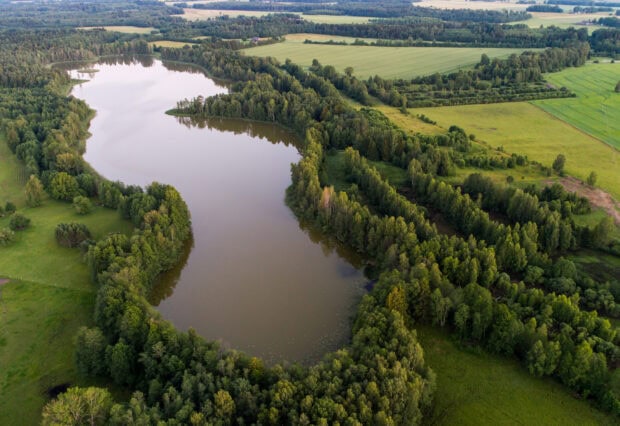 A calm lake is surrounded by dense green forests and fields in Estonia, HD Desktop Wallpaper