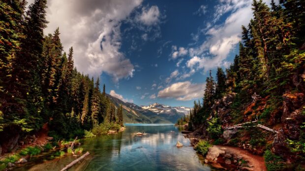 A clear lake surrounded by pine trees and mountains in Yellowstone National Park, 4K Desktop Wallpaper