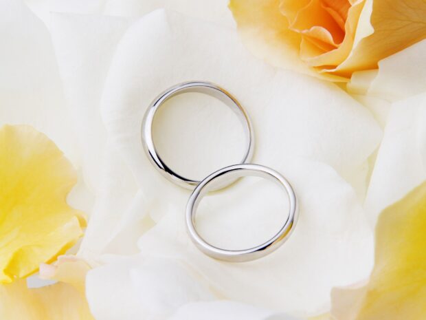 Two simple silver rings rest delicately on white flower petals, HD Desktop Wallpaper