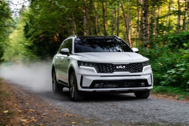 A white Kia is driving fast on a forest path leaving dust behind, HD Desktop Wallpaper