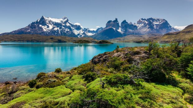 A clear lake reflects the snow capped mountains and green shrubs at Torres Del Paine National Park, HD Desktop Wallpaper