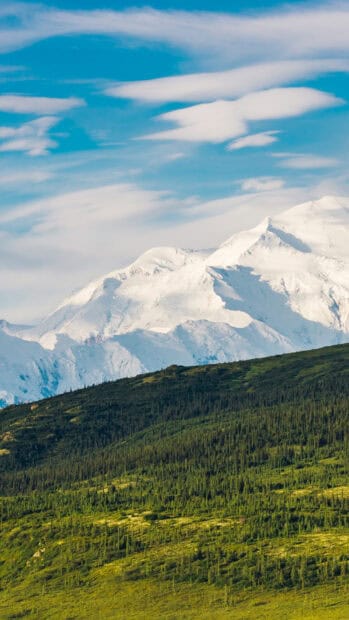 The snow capped peaks rise above lush green hills in Denali National Park and preserve, HD Mobile Wallpaper