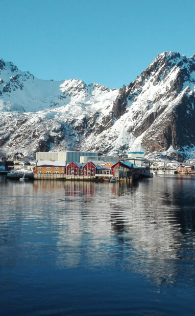 A peaceful village is located by the water with snowy mountains towering behind in Norway Wallpapers, HD Mobile Wallpaper