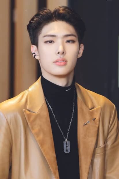 Song Min Gi wears a beige coat and black turtleneck with a silver necklace, HD Mobile Wallpaper
