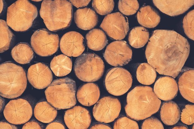 A close up of stacked cut logs showing detailed wood texture for lumberjack wallpapers, 2K Desktop Wallpaper