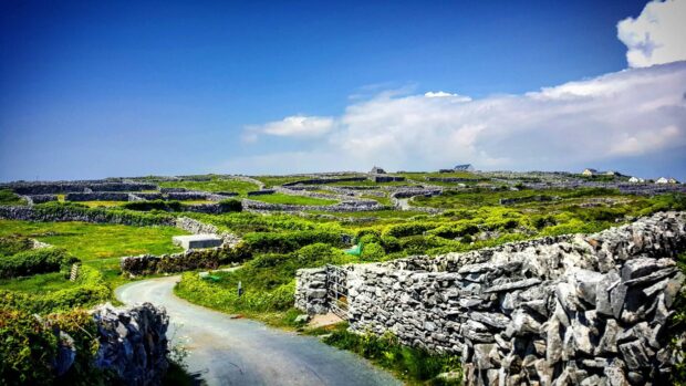 A winding road passes through stone walls and lush greenery on the Aran Islands, HD Desktop Wallpaper