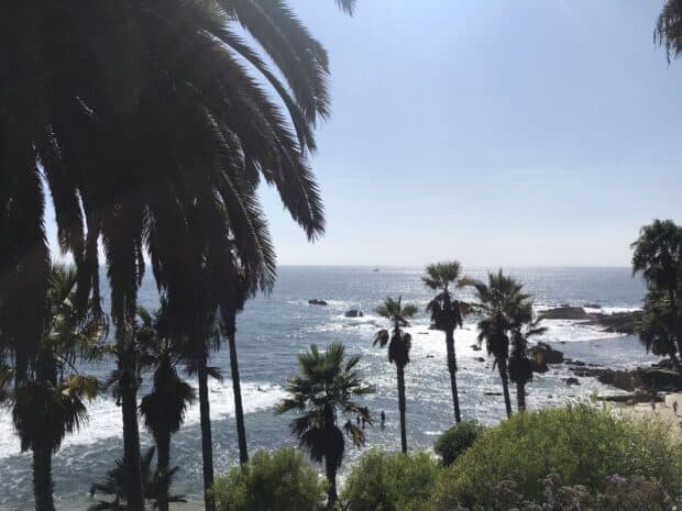 The bright sunny coast with palm trees and ocean waves at Laguna Beach, HD Desktop Wallpaper