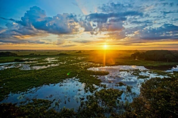 The Pantanal Matogrossense landscape features a vibrant sunset with water reflections and lush greenery, HD Desktop Wallpaper
