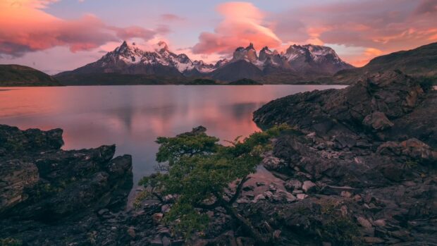 The pink sky reflects on the lake at Torres Del Paine National Park, HD Desktop Wallpaper