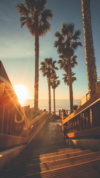 A staircase leads to the ocean with palm trees during sunset in Laguna Beach, HD Phone Wallpaper